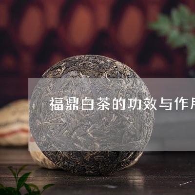 福鼎白茶的功效与作用百科/2023110913614