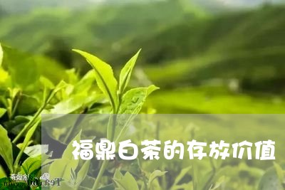 福鼎白茶的存放价值/2023120547049