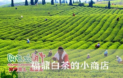 福鼎白茶的小商店/2023062821734