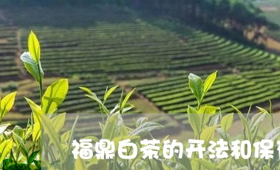 福鼎白茶的开法和保存/2023120710696