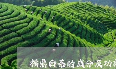 福鼎白茶的成分及功效/2023091631606