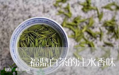 福鼎白茶的注水香味/2023062823837