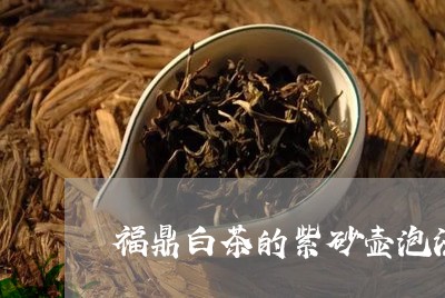 福鼎白茶的紫砂壶泡法大全/2023042586059