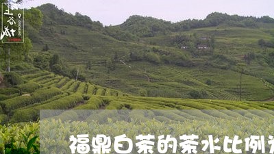 福鼎白茶的茶水比例为多少/2023062714849