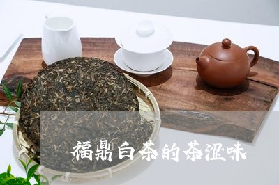 福鼎白茶的茶涩味/2023112627382