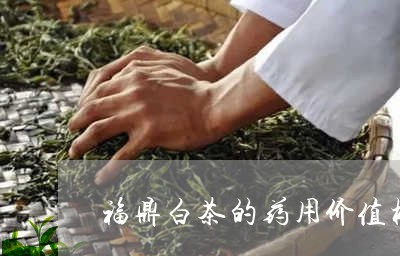 福鼎白茶的药用价值检测/2023110248262