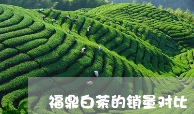 福鼎白茶的销量对比/2023120349705