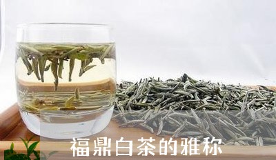 福鼎白茶的雅称/2023060879471