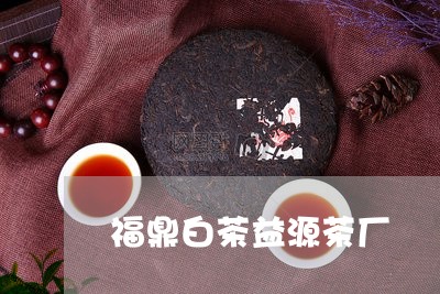 福鼎白茶益源茶厂/2023112639270