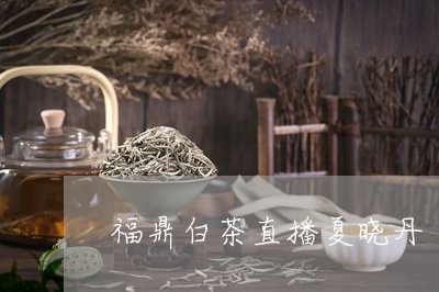 福鼎白茶直播夏晓丹/2023082669360