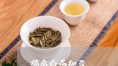 福鼎白茶知否/2023111628482