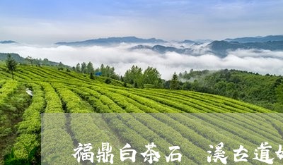 福鼎白茶石磻溪古道好吗/2023092577570