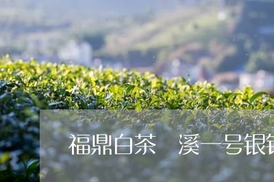 福鼎白茶磻溪一号银针/2023091511594