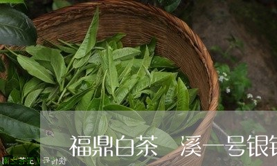 福鼎白茶磻溪一号银针/2023120779696