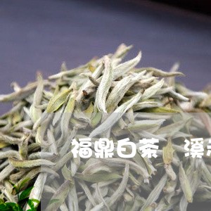 福鼎白茶磻溪赤溪老茶/2023091541481