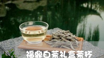 福鼎白茶礼盒茶杯/2023112648483