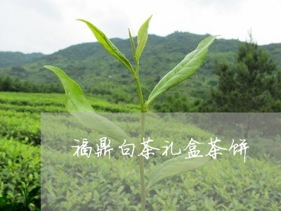 福鼎白茶礼盒茶饼/2023112607179