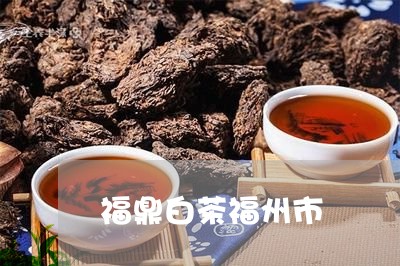 福鼎白茶福州市/2023112581706