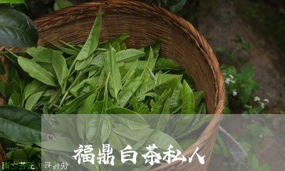 福鼎白茶私人/2023052279370