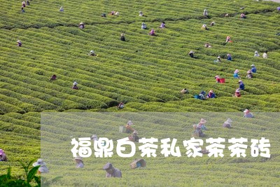 福鼎白茶私家茶茶砖/2023082615925