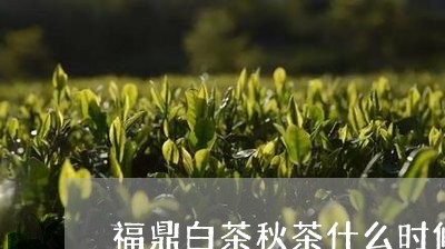 福鼎白茶秋茶什么时候采/2023092248826