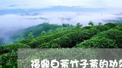 福鼎白茶竹子茶的功效作用/2023042617470