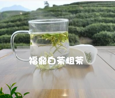 福鼎白茶粗茶/2023052229502