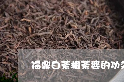 福鼎白茶粗茶婆的功效/2023120849361