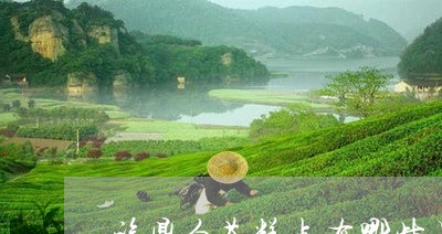 福鼎白茶糕点有哪些品牌/2023062900583