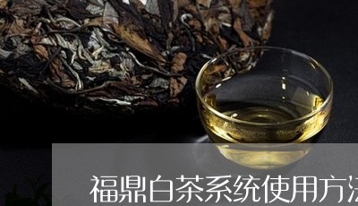 福鼎白茶系统使用方法/2023120833845