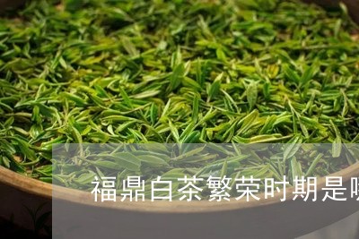 福鼎白茶繁荣时期是哪一年/2023110952825