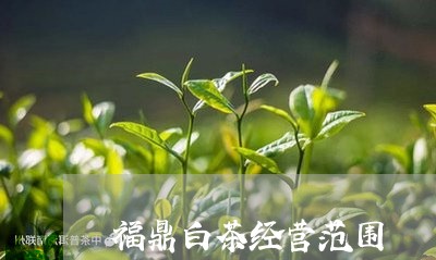 福鼎白茶经营范围/2023090981647