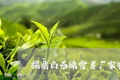 福鼎白茶绿雪芽厂家电话/2023110298369