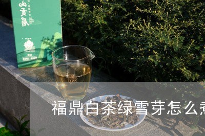 福鼎白茶绿雪芽怎么煮/2023120621582