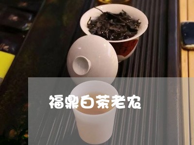 福鼎白茶老农/2023062880805