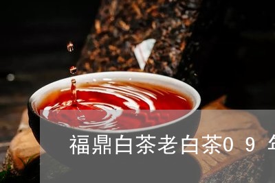 福鼎白茶老白茶09年/2023120807138