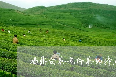 福鼎白茶老陈茶的特点/2023111635938