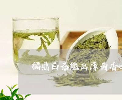 福鼎白茶能出薄荷香吗/2023091574026