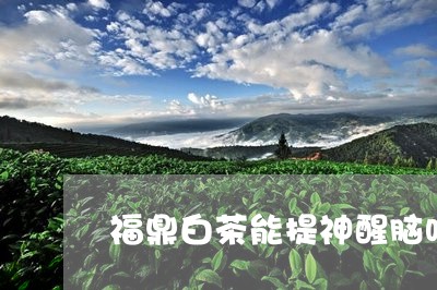 福鼎白茶能提神醒脑吗/2023120892728