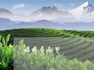 福鼎白茶节/2023051178360