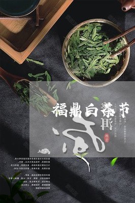 福鼎白茶节节高升系列/2023092014250