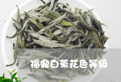 福鼎白茶花色等级/2023070897382