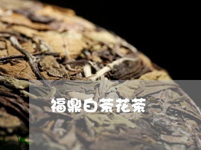 福鼎白茶花茶/2023052217059