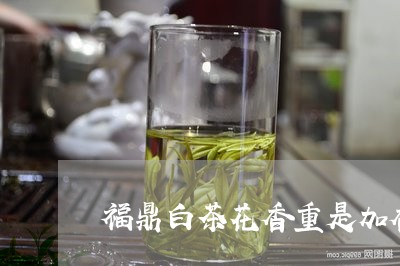 福鼎白茶花香重是加香料吗/2023042761936