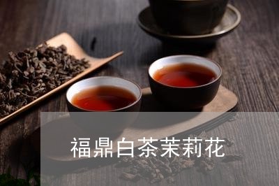 福鼎白茶茉莉花/2023060899403