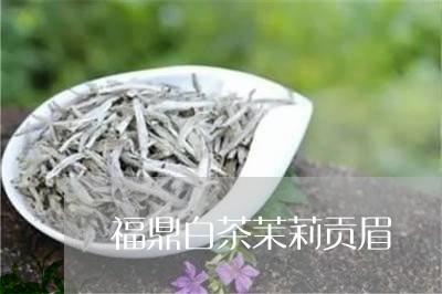 福鼎白茶茉莉贡眉/2023090738269