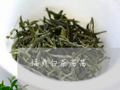 福鼎白茶茜茜/2023111657379