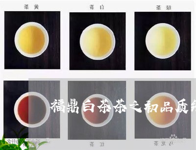 福鼎白茶茶之初品质纯/2023091591602