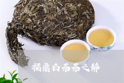 福鼎白茶茶之静/2023082663706