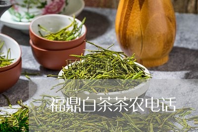 福鼎白茶茶农电话/2023070881824